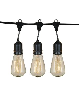 Edison Bulbs