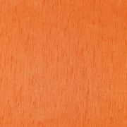 Shantung Napkins- Orange