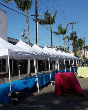10 x 10 Pop Up Tent