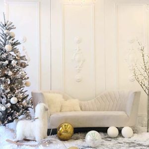 White Backdrop w/ Moldings