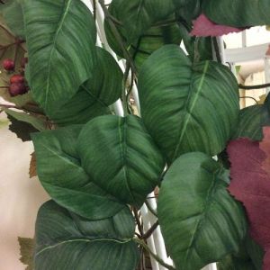 Ivy Strands